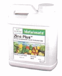 Zinc Plus