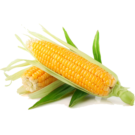 Rancho%20El%20Cuervo
