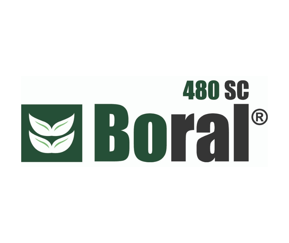 Boral 48 SC - 1L